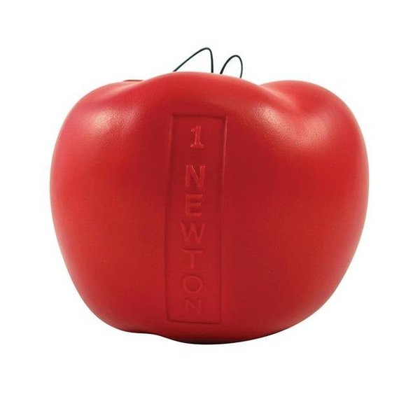 Delta Education Delta Education 1322524 Newtons Apples - Pack of 6 1322524